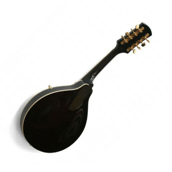 Mandolin all solid tonewoods 2073