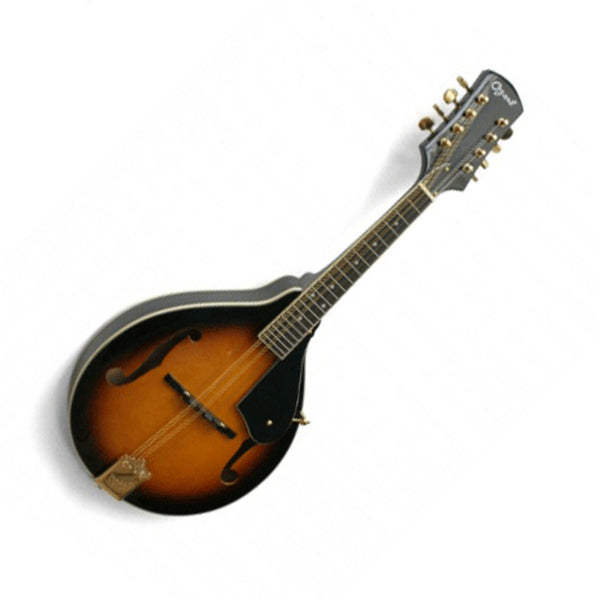 Mandolin all solid tonewoods 2073