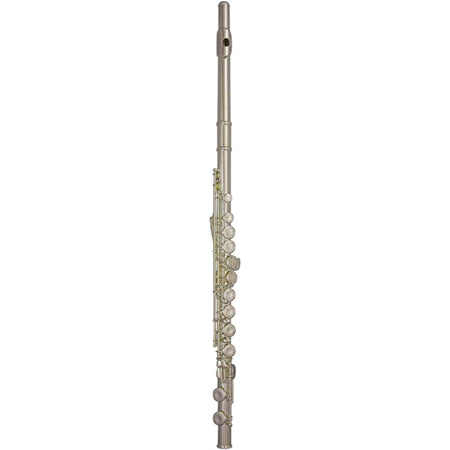 Flute 10XE-P Outfit 3042EASLRW