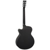TB4CE Blackbird Electro Acoustic