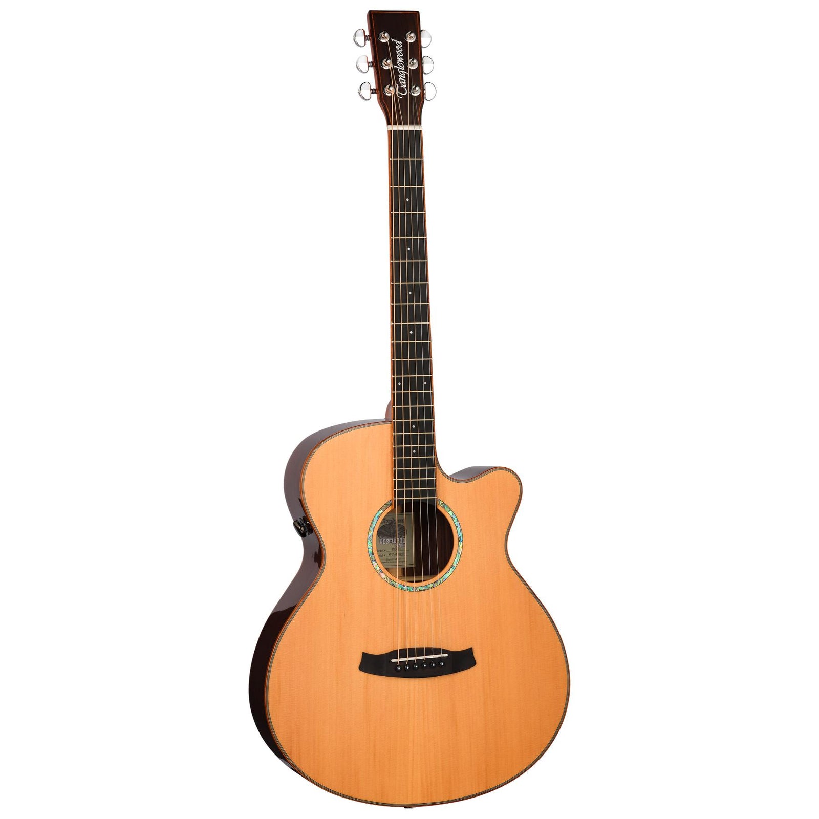 TRS4 CE Smart Super Folk Electro Acoustic (Built in Effects)