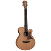 TR SFCE PW Electro Acoustic