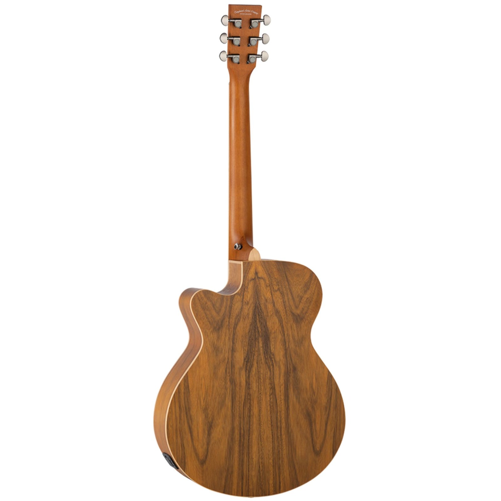 TR SFCE PW Electro Acoustic