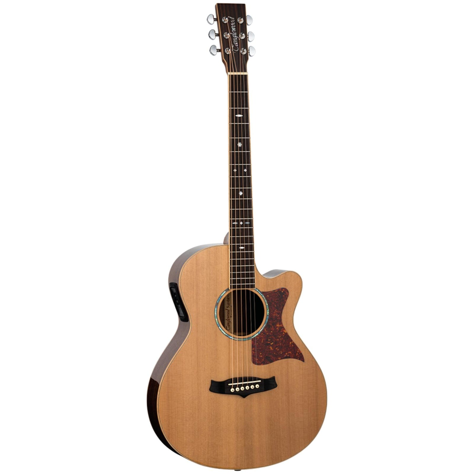 TW45 RE Electro Acoustic