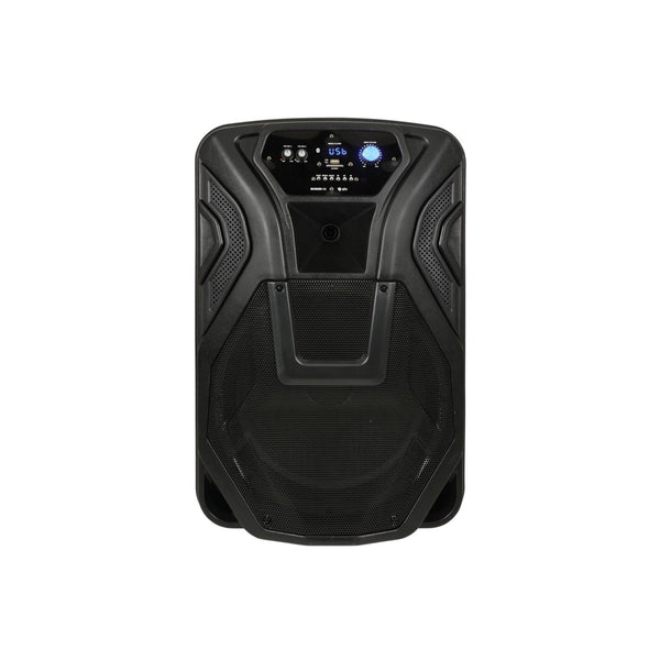 BUSKER 15-100w PA Recharge/Mains
