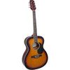 0-2 Trans Sunburst Acoustic Guitar