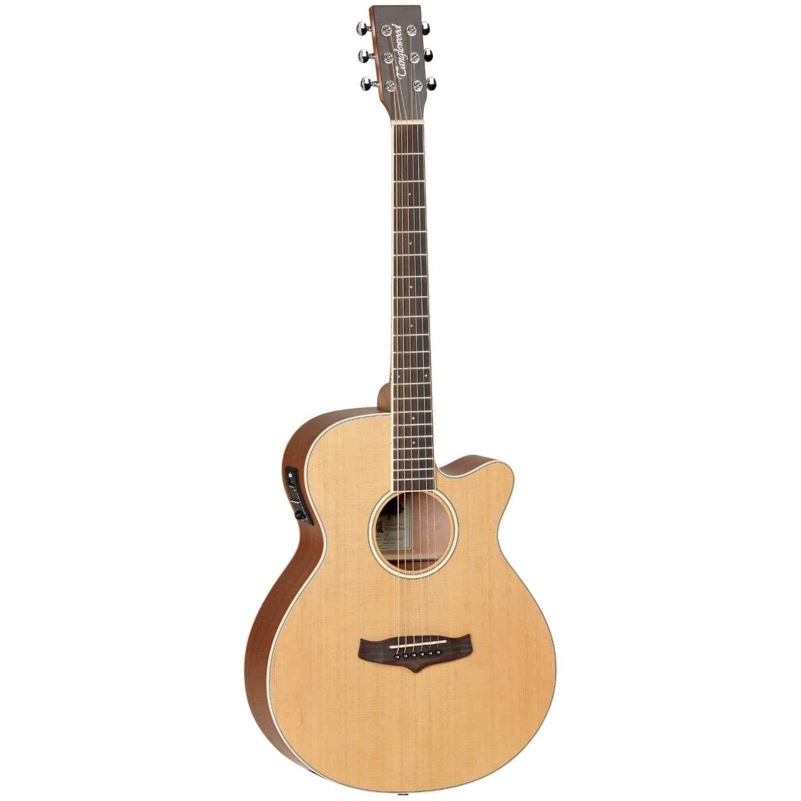 TW9 Electro Acoustic Guitar