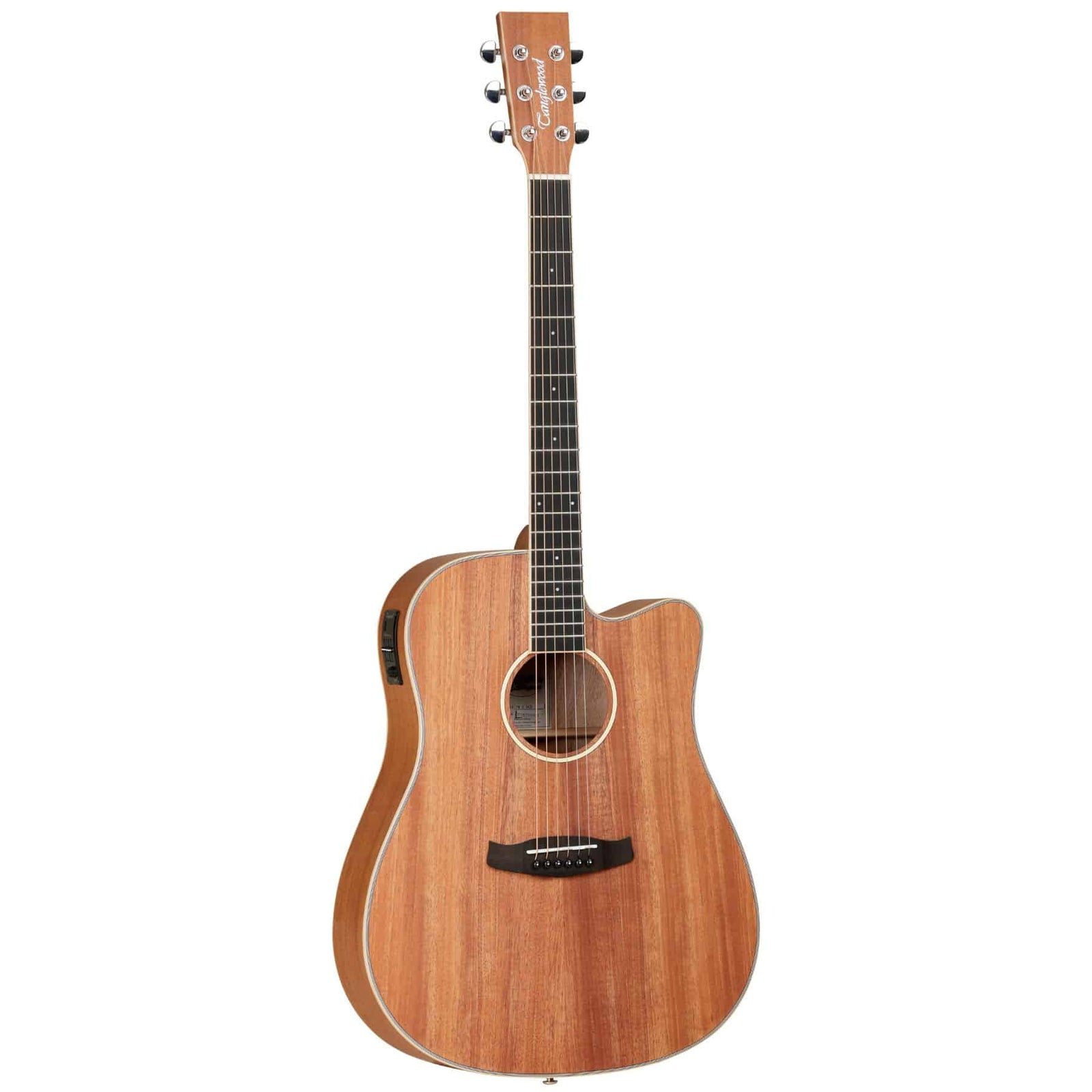 TWU DCE Electro Acoustic