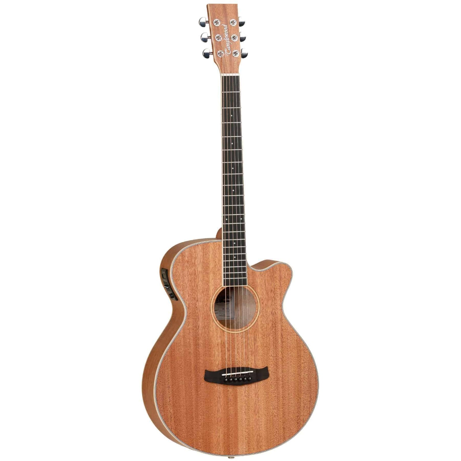 Union TWU SFCE Electro Acoustic