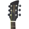 BF100BK Acoustic Guitar Black