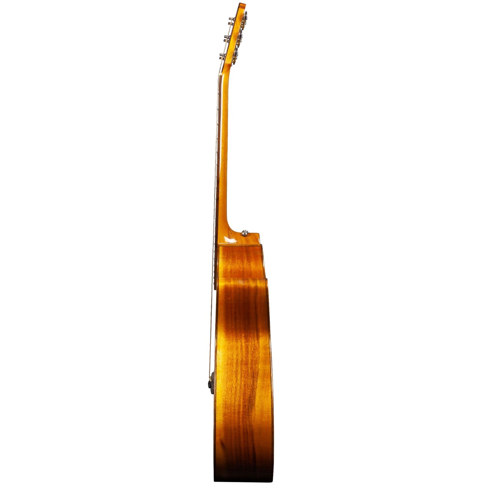 R3SKCE Electro Acoustic